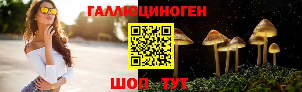 Усть-Джегута  Галлюциногенные грибы Cubensis  хочу наркоту  Вход с VPN 